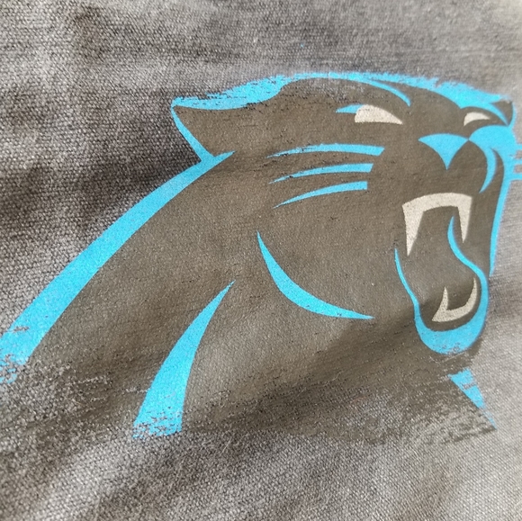 NFL Carolina Panthers Tote Official NFL Gear NWT - Picture 2 of 9